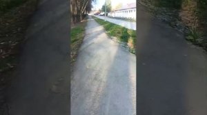 вечерний стрим
