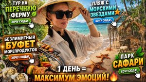 ВЬЕТНАМ ШОКИРУЕТ! 😱 Пляж звезд,ферма перца,сафари и буфет морепродуктов без ограничений