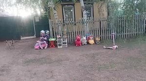 Вечерняя прогулка!)