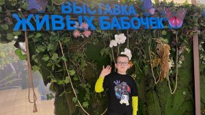 Выставка бабочек