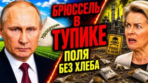 СОКРУШИТЕЛЬНЫЙ РЕКОРД РОССИИ! ЕВРОПА ОСТАЛАСЬ БЕЗ «ХЛЕБА»!