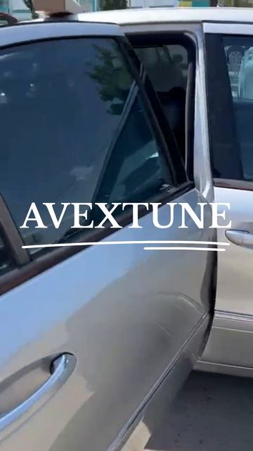 Шторки задних дверей Mercedes-Benz W211