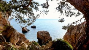 Релаксация, медитация, улучшение сна, снятие стресса, фон для работы и учебы, йога. ॐ🙏🧘♀️