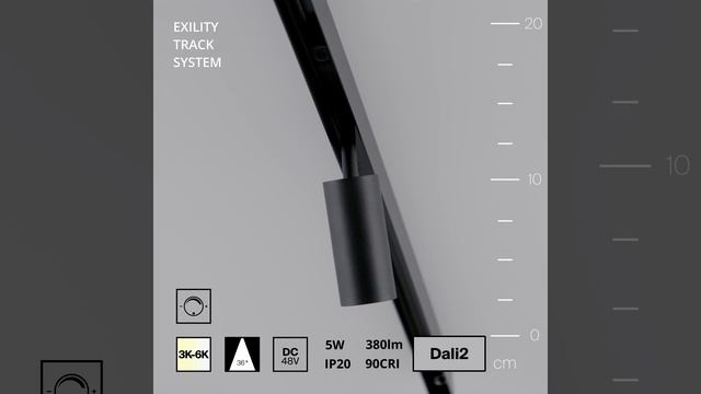 Светильник Maytoni Exility Focus LED TR032-4-5WTW-M-DD2-B смотреть онлайн