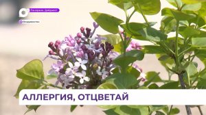 Врачи дают рекомендации, как избежать аллергии в сезон цветения в Приморье