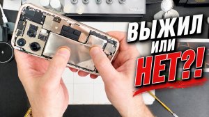Выжил или НЕТ?!