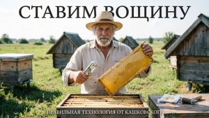 Как правильно ставить вощину? Советы от Профессора Кашковского