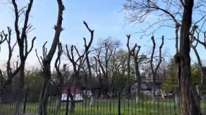 ОДЕССА 6 МАЯ 2026. ФРАЙЕР ФИЦО СДАЛ НАЗАД! ОТГОВОРИЛИ ИДТИ НА ПАРАД ДОГОВОРНЯК США-КИТАЙ-РФ БЛИЗКО