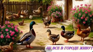 Не все в городе живут. 30.04-06.05