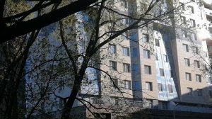 Бро прошлынды обозвала недоблогером. Блог и влог вам, пиявки