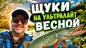 ЖОР ЩУКИ ВЕСНОЙ в дождь. Поклевка на каждой проводке ! КАК ? #щукавесной #рыбалканащуку #танта
