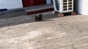 Появилось видео, как ты спешил(а) на работу утром