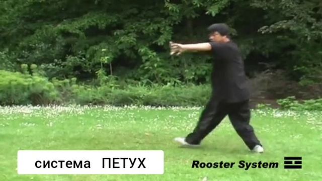 Система Петуха. Хэ Цзиньбао