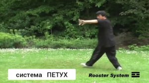 Система Петуха. Хэ Цзиньбао