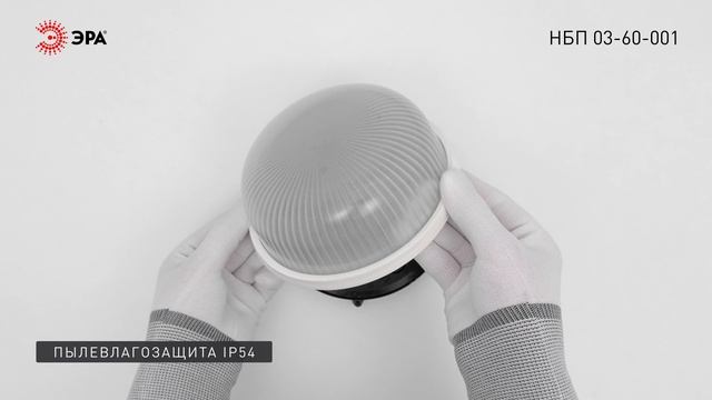 Светильник ЭРА НБП 03-60-001