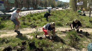 В Зарайске продолжаются работы по озеленению города.