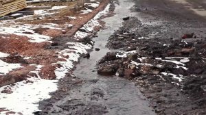 ВЛАСТИ КРАСНОЯРСКА ИЩУТ ТЕХНИЧЕСКОЕ РЕШЕНИЕ ДЛЯ ОТВОДА ВОДЫ В ПОКРОВКЕ