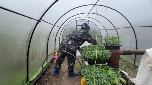 Посадили рассаду перцев🌶️Спасаем от морозов Аномальная погода❄️Учусь шить✂️Ремонт садовой тачки🛠️