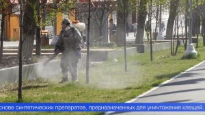 Плановую обработку от клещей провели сразу на четырёх общественных пространствах Первоуральска