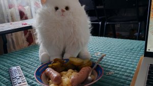 кот в деревне приготовил поесть