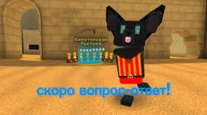 ПИШИТЕ ПОЛ ЭТИМ ВИДЕО ВОПРОСЫ! БУДЕТ ВОПРОС-ОТВЕТ