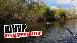 БОЛЬШАЯ ПРОГУЛКА ПО МЕСТНОЙ РЕКЕ!!! ЩУКА ДОСТАЛА!!!