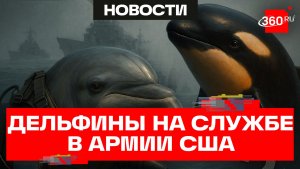 Боевые дельфины: есть у США, а у кого еще?