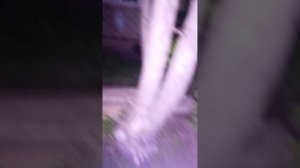 1000001534.mp4