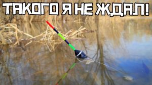 МАЙСКИЙ РАЗЛИВ ШОКИРОВАЛ! Закинули в КУСТЫ и пошли БАТОНЫ! Рыбалка - мечты 2026!