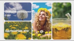 13 -мая Всемирный день одуванчиков!🌼🌿🎵