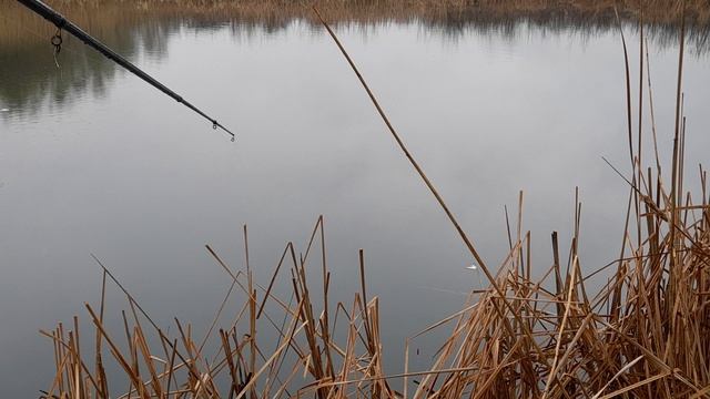 ПРОДОЛЖЕНИЕ ЛОВЛИ КАРАСЯ В ДОЖДИК