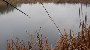ПРОДОЛЖЕНИЕ ЛОВЛИ КАРАСЯ В ДОЖДИК