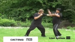 Система Льва. Хэ Цзиньбао