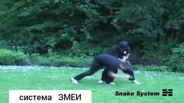 Система Змеи. Хэ Цзиньбао