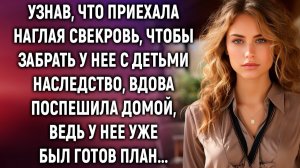 Узнав, что приехала свекровь за наследством, вдова поспешила домой, ведь у нее уже был план...
