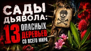 САДЫ ДЬЯВОЛА: 13 опасных деревьев со всего мира