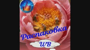 Распаковка  нужных вещей
