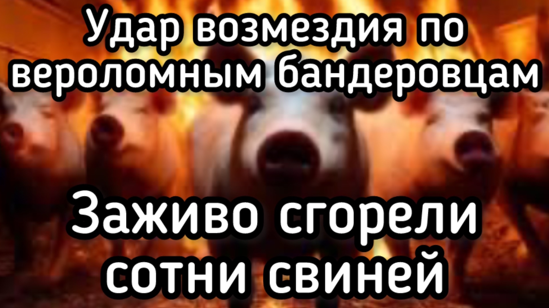 Путин нанес ответный удар по Зеленскому за нарушение перемирия: сгорели заживо сотни свинец