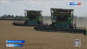 Посевная в Белгородской области идет по графику, несмотря на сложную оперативную обстановку