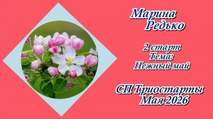 СП «Триостарты. Май 2026» / 2 старт