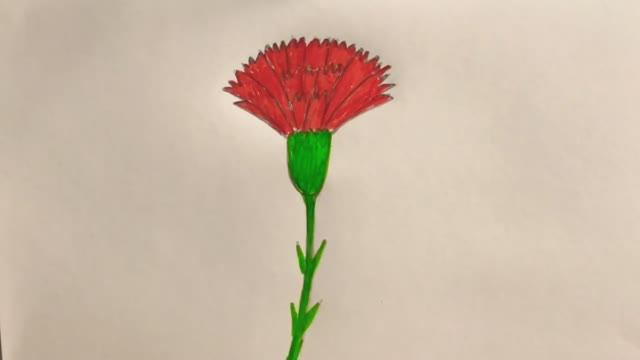 Рисуем Гвоздику Карандашом! 9 МАЯ! ДЕНЬ ПОБЕДЫ!