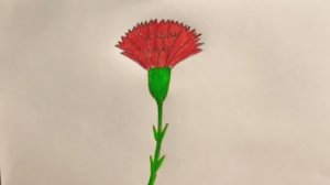 Рисуем Гвоздику Карандашом! 9 МАЯ! ДЕНЬ ПОБЕДЫ!