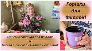Горшки для Фиалок! Объемы горшков для Фиалок и беседа о способах Полива Сенполий!