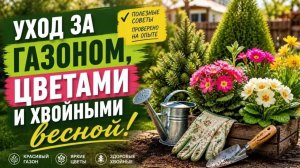 Весна в саду. Газон, хвойные, первые цветы – ухаживаем правильн
