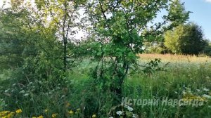 Незачем было ее спасать, а теперь ты уволена. А напоследок заглянув в палату бродяжки…