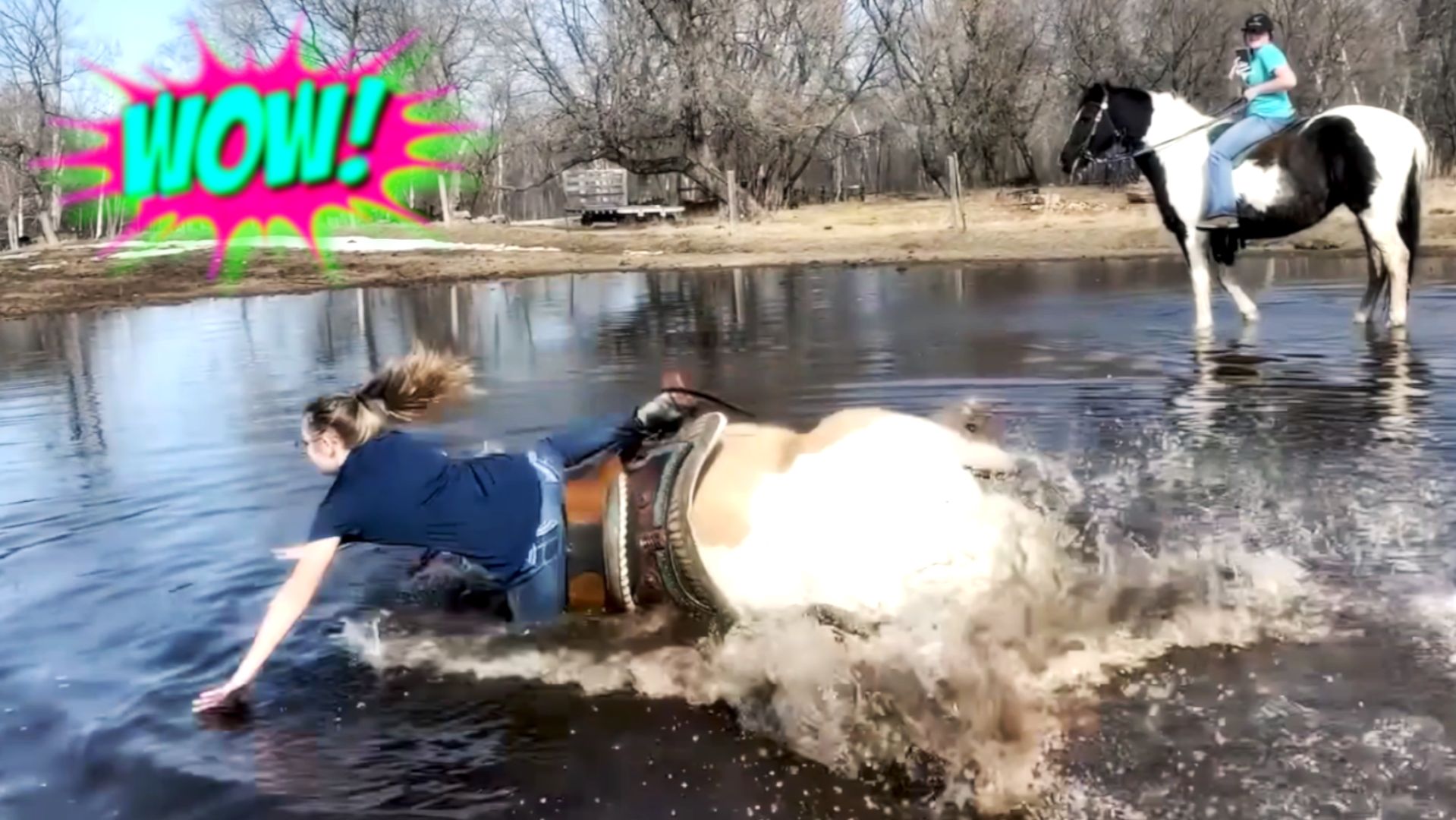 "ПРИКОЛЫ НА КАЖДЫЙ ДЕНЬ: СМЕШНЫЕ ВИДЕО ДЛЯ ПОДНЯТИЯ НАСТРОЕНИЯ"