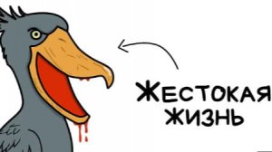Ты - Китоглав (И ЭТО ПОЛНЫЙ ОТСТОЙ)