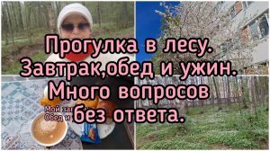 06-05-2026 Прогулка по лесу.Завтрак,обед и ужин.Много вопросов без ответа