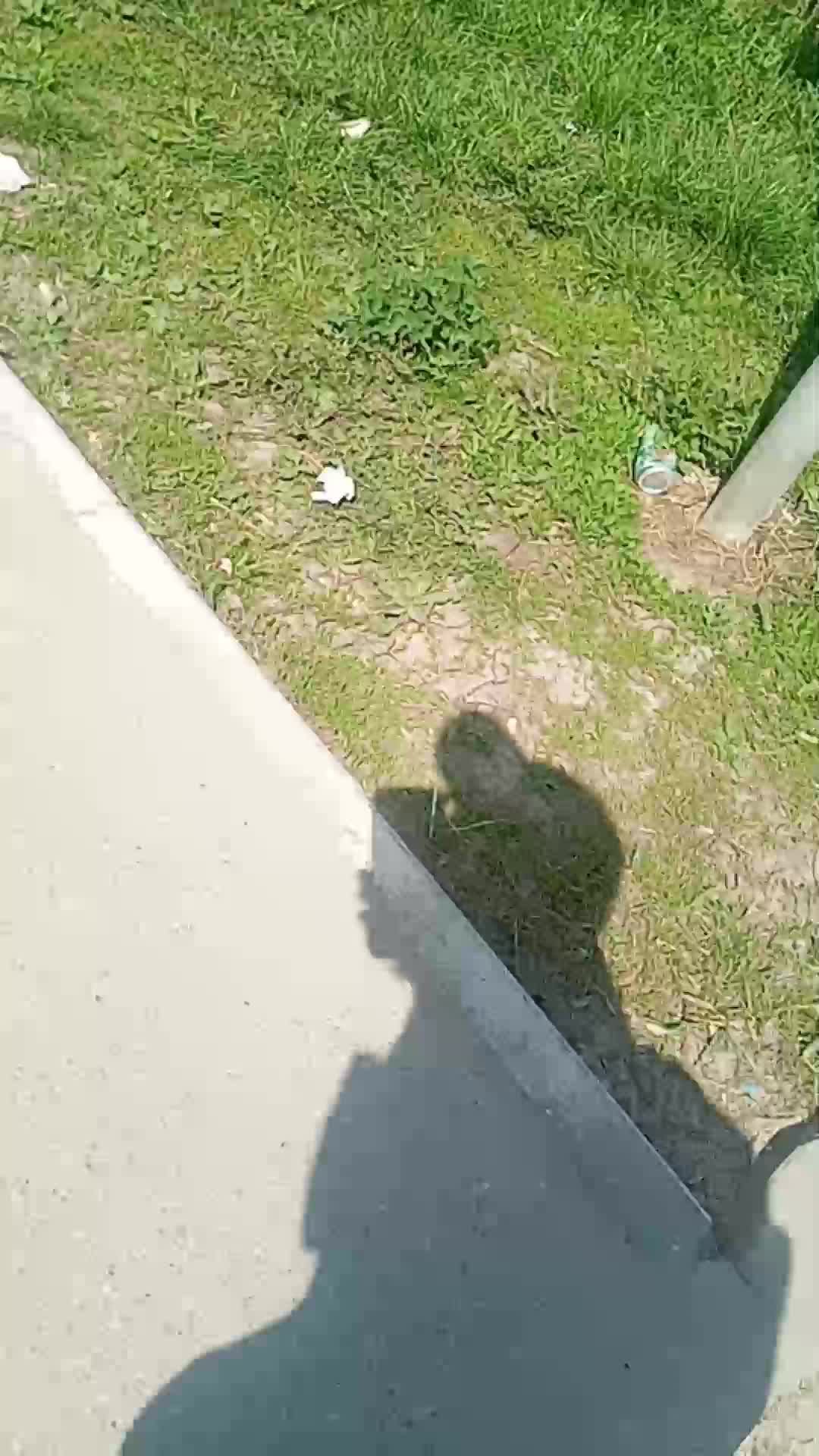 иду в школу смотреть онлайн