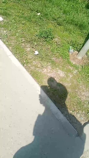 иду в школу